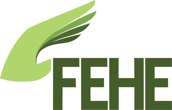FEHE Enterprises, Inc.